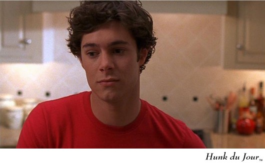 Adam Brody, from The OC - Hunk du Jour Adam Brody, from The OC - Hunk du Jour