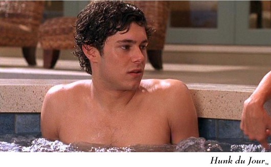 Adam Brody, from The OC - Hunk du Jour Adam Brody, from The OC - Hunk du Jour