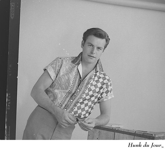 Robert Wagner - Hunk du Jour Robert Wagner - Hunk du Jour