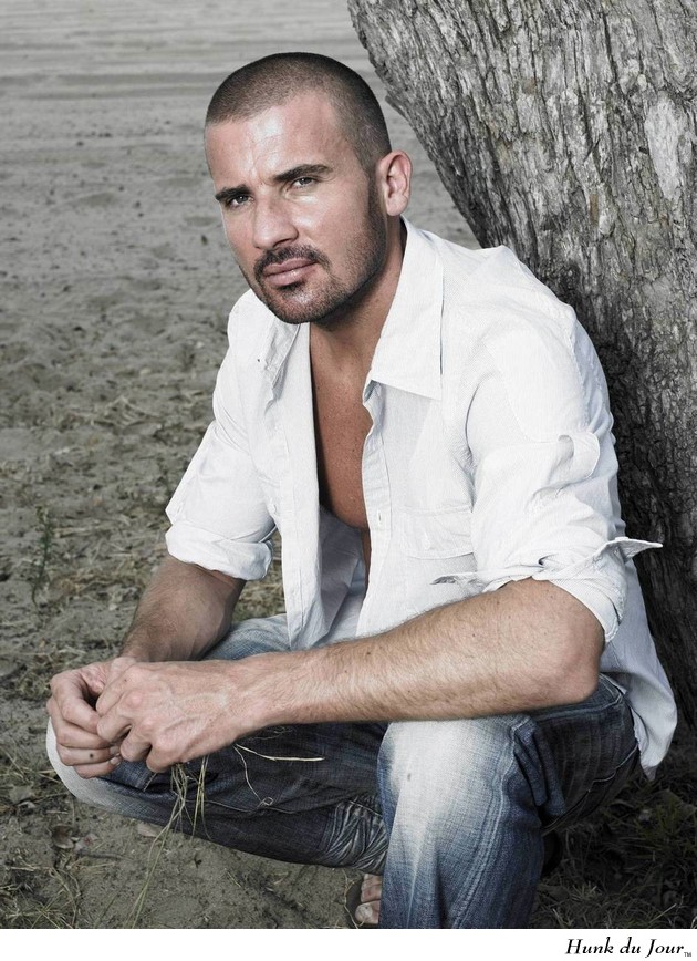 Dominic Purcell - Hunk du Jour Dominic Purcell - Hunk du Jour