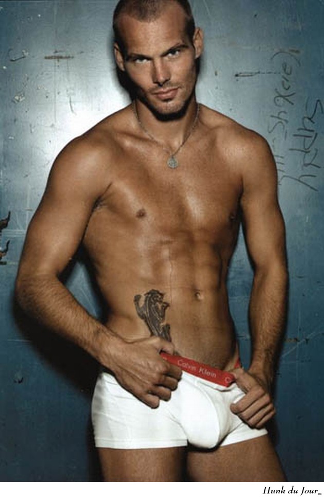Freddie Ljungberg - Hunk du Jour Freddie Ljungberg - Hunk du Jour