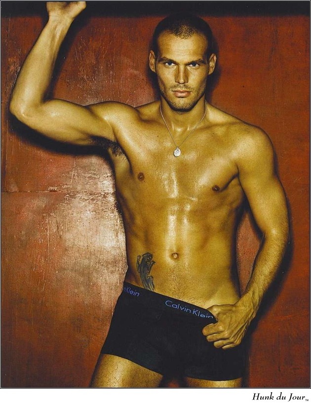 Freddie Ljungberg - Hunk du Jour Freddie Ljungberg - Hunk du Jour