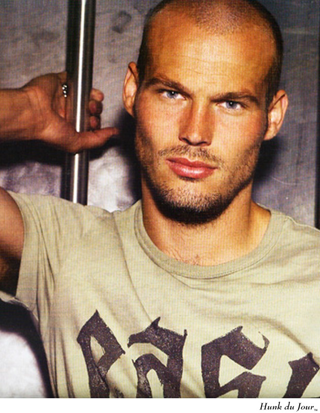 Freddie Ljungberg - Hunk du Jour Freddie Ljungberg - Hunk du Jour
