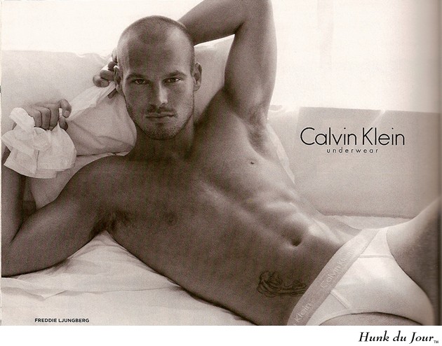 Freddie Ljungberg - Hunk du Jour Freddie Ljungberg - Hunk du Jour