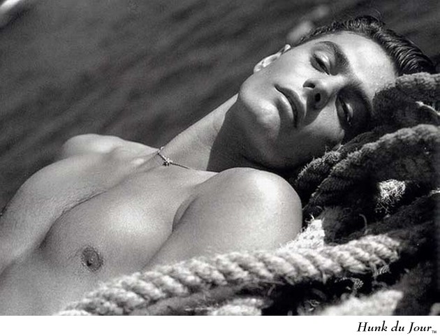 Louis Jourdan - Hunk du Jour Louis Jourdan - Hunk du Jour