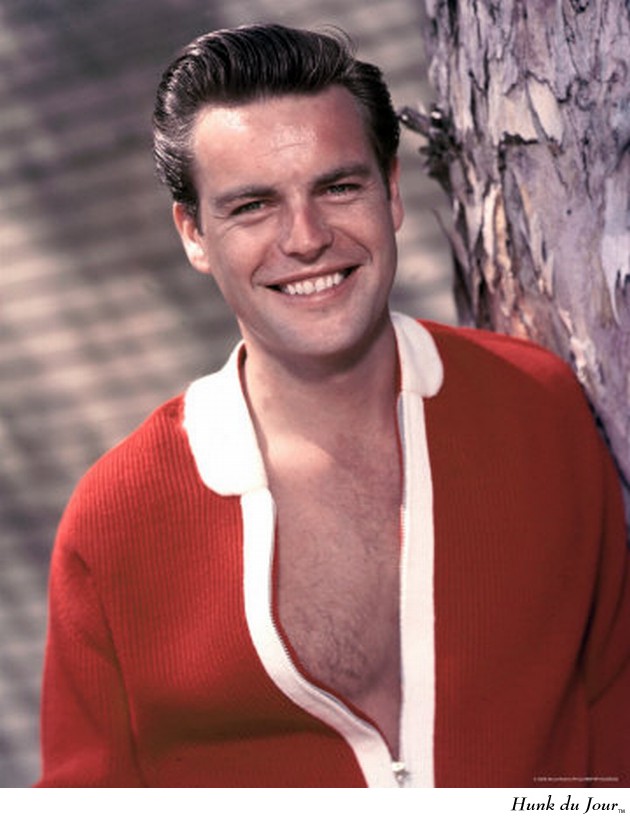 Robert Wagner - Hunk du Jour Robert Wagner - Hunk du Jour