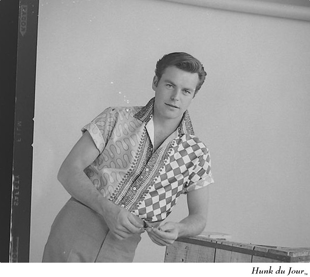 Robert Wagner - Hunk du Jour Robert Wagner - Hunk du Jour