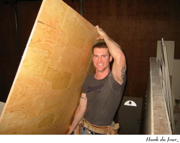 Thad Mills, Carpenter from TLCs TRADING SPACES - Hunk du Jour Thad Mills, Carpenter from TLCs TRADING SPACES - Hunk du Jour