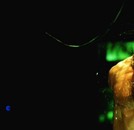 X-MEN Origins : Wolverine