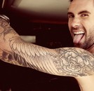 Your Hunk of the Day: Adam Levine