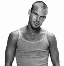 Your Hunk of the Day: Freddie Ljungberg