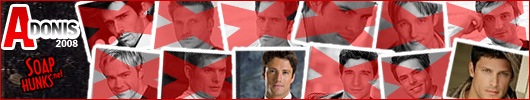 SoapHunks.net Banner